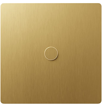 Brushed Brass