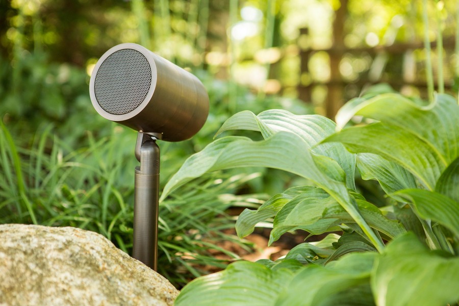 A Coastal Source outdoor sound speaker nestled among foliage in a Denver landscape. 