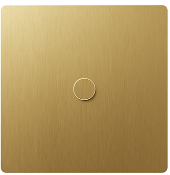 Brushed Brass